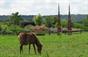 paardenwei in augustus met uitzicht op grassentuin en op achtergrond de stuwwal